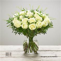 Sympathy Rose Vase Plus Size