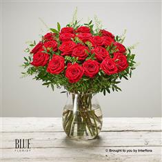 Scarlett Surprise Large