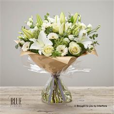 White Radiance Sympathy Hand-tied Extra Large