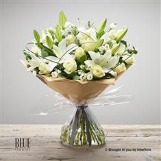 Wonderfully White Sympathy Hand-tied Extra Large