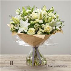 White Radiance Hand-tied Extra Large