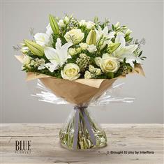 White Radiance Hand-tied Large