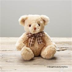 Order Teddy Bears Online Get Same Day Next Day Flower Delivery
