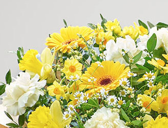 Spring flowers by Blue Florist