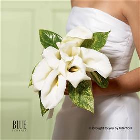 fwthumbchic-white-calla-lily-bridal-bouquet.jpg