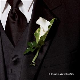 fwthumbchic-white-calla-lily-buttonhole.jpg