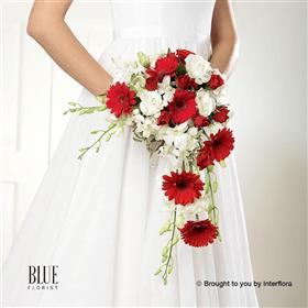 fwthumbcrimson-gerberaand-orchid-shower-bridal-bouquet.jpg