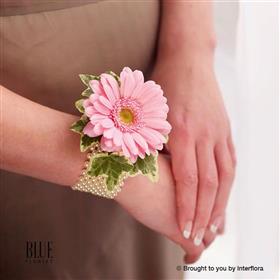 fwthumbpale-pink-germini-wrist-corsage.jpg