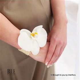 fwthumbpure-white-orchid-and-pearl-wrist.jpg