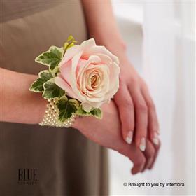 fwthumbsoft-pink-rose-coursage.jpg